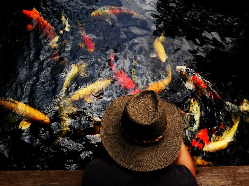Observation and pattern â€” Southeast Asia